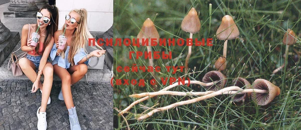 метадон Ельня