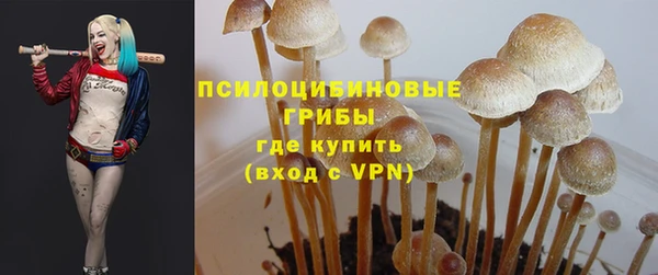 метадон Ельня