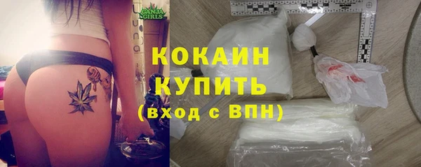 метадон Ельня