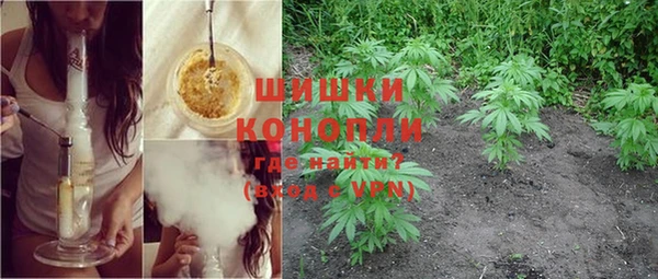 метадон Ельня