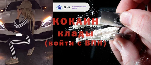 метадон Ельня