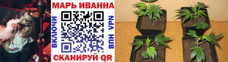 Бошки марихуана план  Купить  Волоколамск 